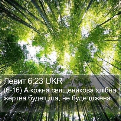 Левит 6:23 UKR Bible Verse Image