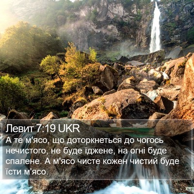 Левит 7:19 UKR Bible Verse Image