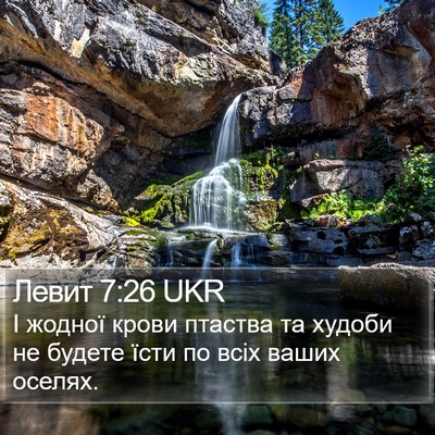 Левит 7:26 UKR Bible Verse Image