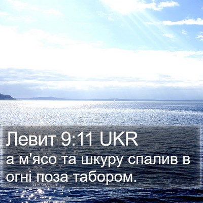 Левит 9:11 UKR Bible Verse Image