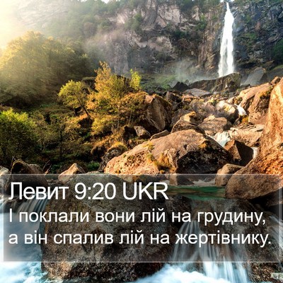 Левит 9:20 UKR Bible Verse Image