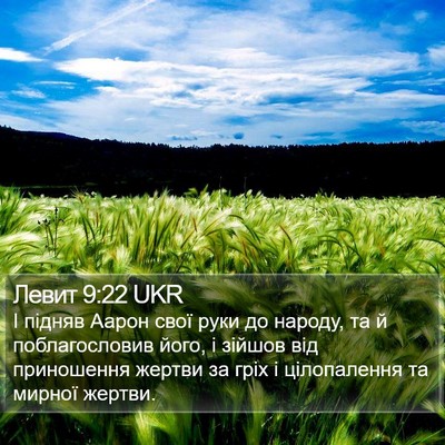 Левит 9:22 UKR Bible Verse Image