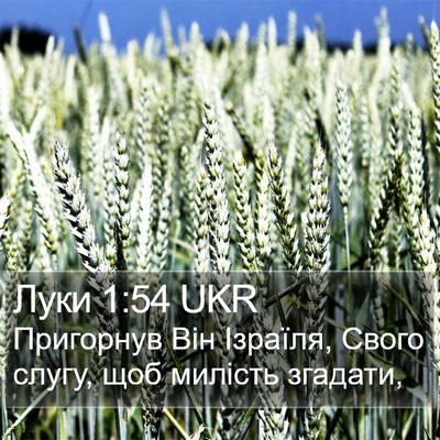 Луки 1:54 UKR Bible Verse Image