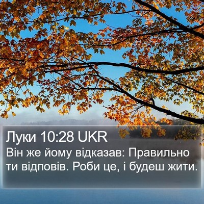 Луки 10:28 UKR Bible Verse Image