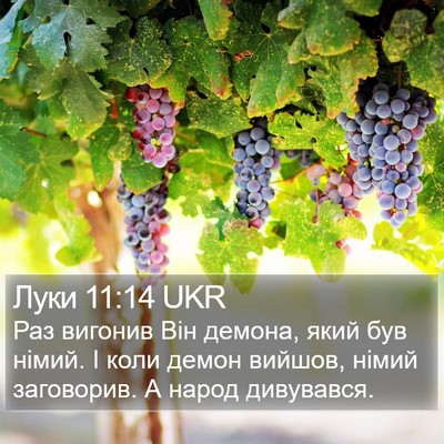 Луки 11:14 UKR Bible Verse Image