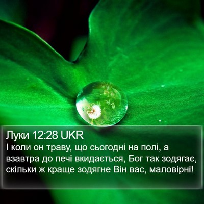 Луки 12:28 UKR Bible Verse Image