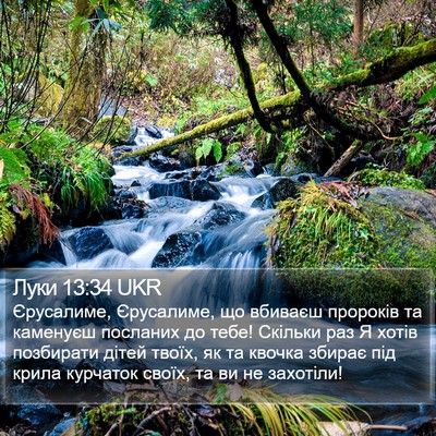 Луки 13:34 UKR Bible Verse Image