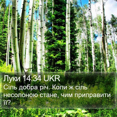 Луки 14:34 UKR Bible Verse Image