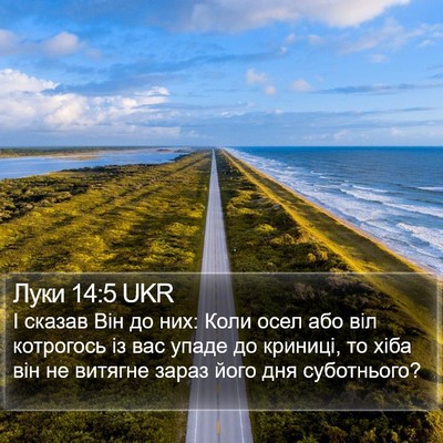 Луки 14:5 UKR Bible Verse Image