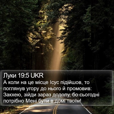 Луки 19:5 UKR Bible Verse Image