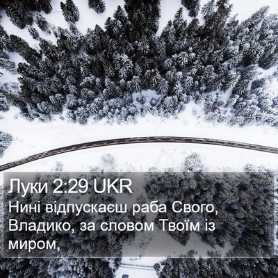 Луки 2:29 UKR Bible Verse Image