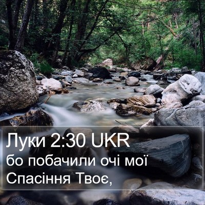 Луки 2:30 UKR Bible Verse Image