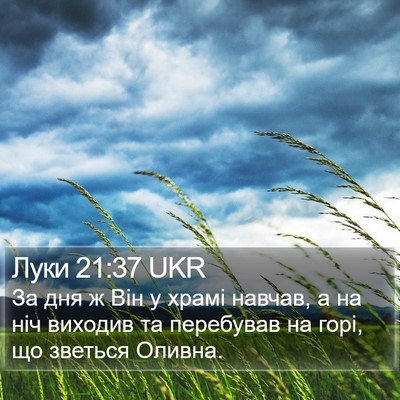 Луки 21:37 UKR Bible Verse Image