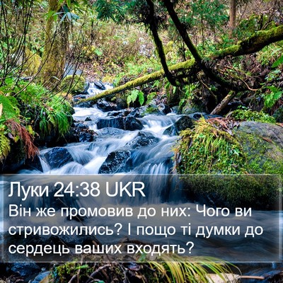 Луки 24:38 UKR Bible Verse Image