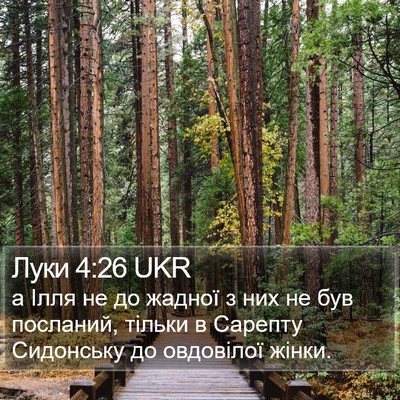 Луки 4:26 UKR Bible Verse Image