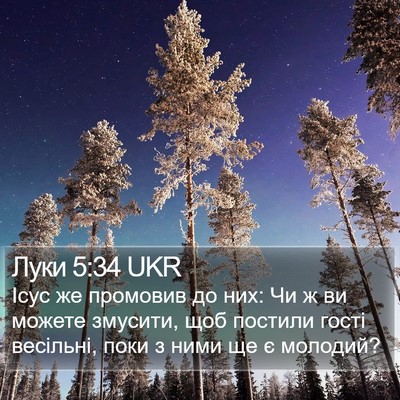 Луки 5:34 UKR Bible Verse Image