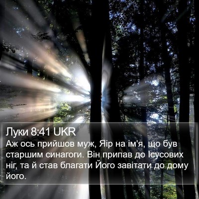 Луки 8:41 UKR Bible Verse Image