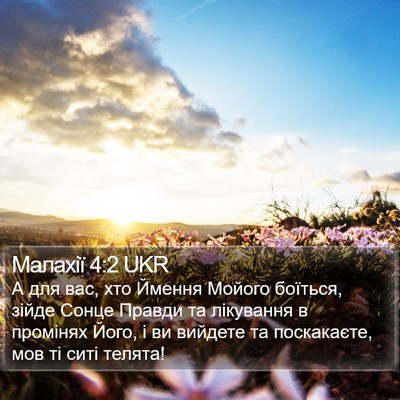 Малахії 4:2 UKR Bible Verse Image