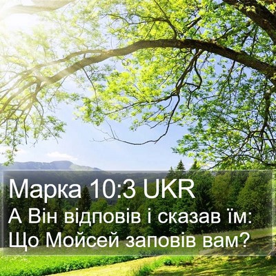 Марка 10:3 UKR Bible Verse Image