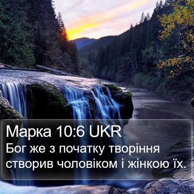 Марка 10:6 UKR Bible Verse Image