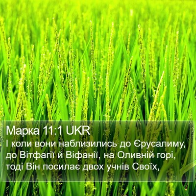 Марка 11:1 UKR Bible Verse Image