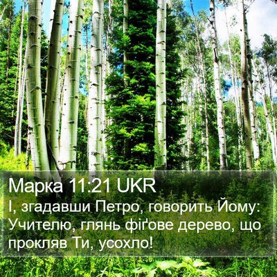 Марка 11:21 UKR Bible Verse Image