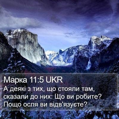 Марка 11:5 UKR Bible Verse Image