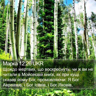 Марка 12:26 UKR Bible Verse Image