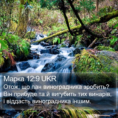 Марка 12:9 UKR Bible Verse Image