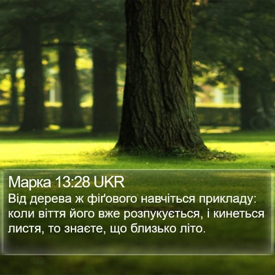 Марка 13:28 UKR Bible Verse Image
