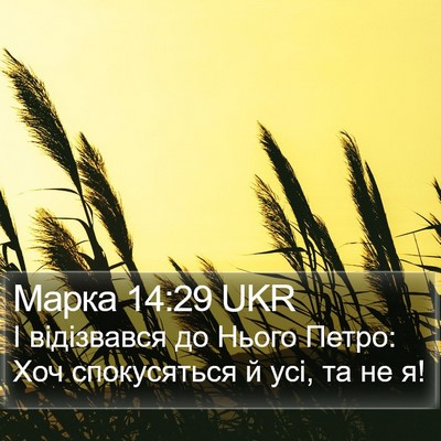 Марка 14:29 UKR Bible Verse Image