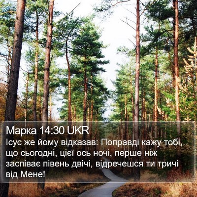 Марка 14:30 UKR Bible Verse Image