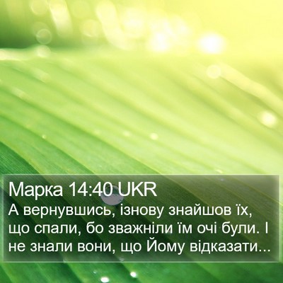Марка 14:40 UKR Bible Verse Image