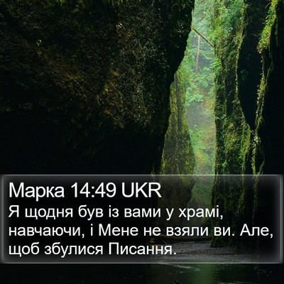 Марка 14:49 UKR Bible Verse Image