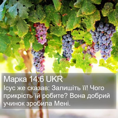 Марка 14:6 UKR Bible Verse Image