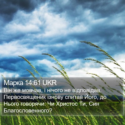 Марка 14:61 UKR Bible Verse Image