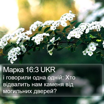 Марка 16:3 UKR Bible Verse Image