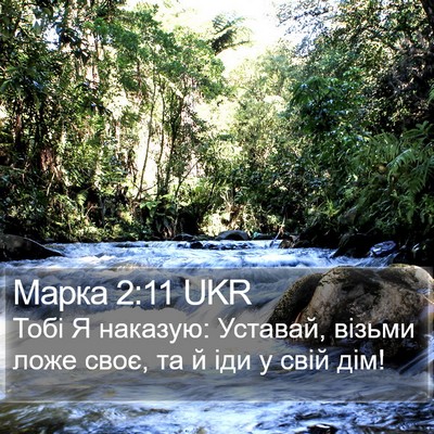 Марка 2:11 UKR Bible Verse Image