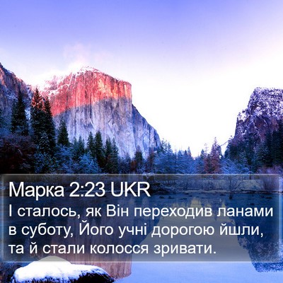 Марка 2:23 UKR Bible Verse Image