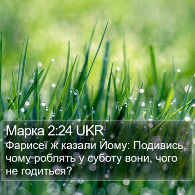 Марка 2:24 UKR Bible Verse Image