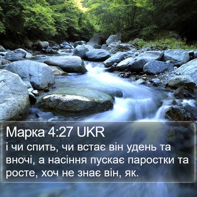 Марка 4:27 UKR Bible Verse Image