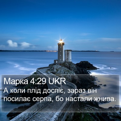 Марка 4:29 UKR Bible Verse Image