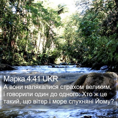 Марка 4:41 UKR Bible Verse Image