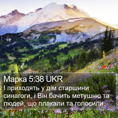 Марка 5:38 UKR Bible Verse Image