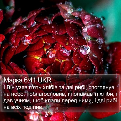 Марка 6:41 UKR Bible Verse Image