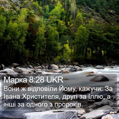 Марка 8:28 UKR Bible Verse Image