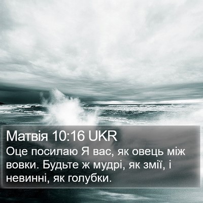 Матвія 10:16 UKR Bible Verse Image
