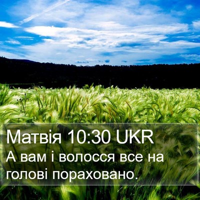 Матвія 10:30 UKR Bible Verse Image
