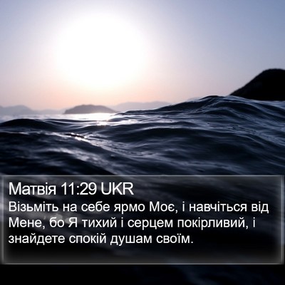 Матвія 11:29 UKR Bible Verse Image