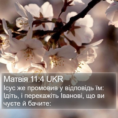 Матвія 11:4 UKR Bible Verse Image